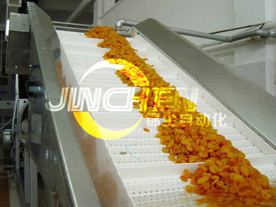 爬坡网带输送机在输送食品